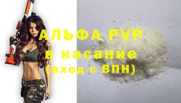стафф Медвежьегорск