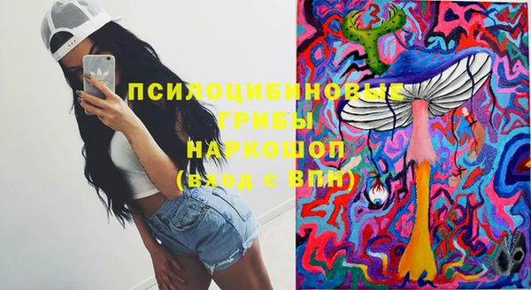 стафф Медвежьегорск