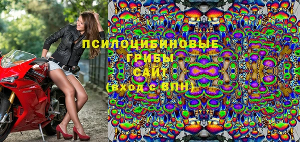 PSILOCYBIN Медногорск