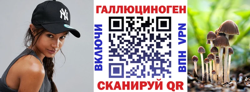 Псилоцибиновые грибы Cubensis  Купить  Мытищи 